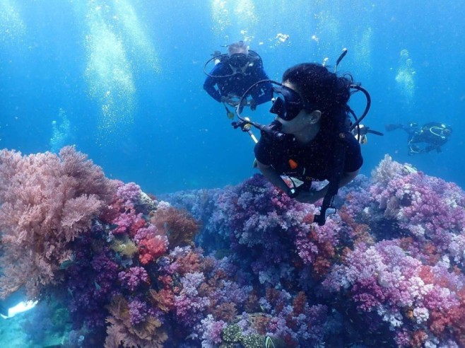 Koh Lipe Scuba Diving: Refresher